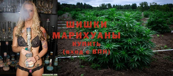 гидропоника Алзамай