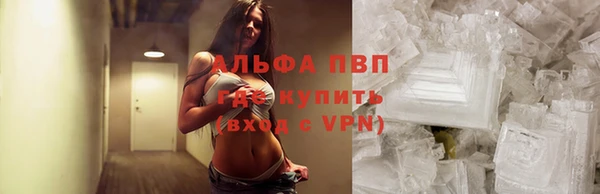 гидропоника Алзамай