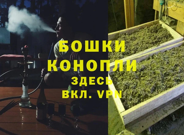 гидропоника Алзамай