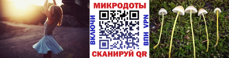 Галлюциногенные грибы мухоморы  Закаменск 